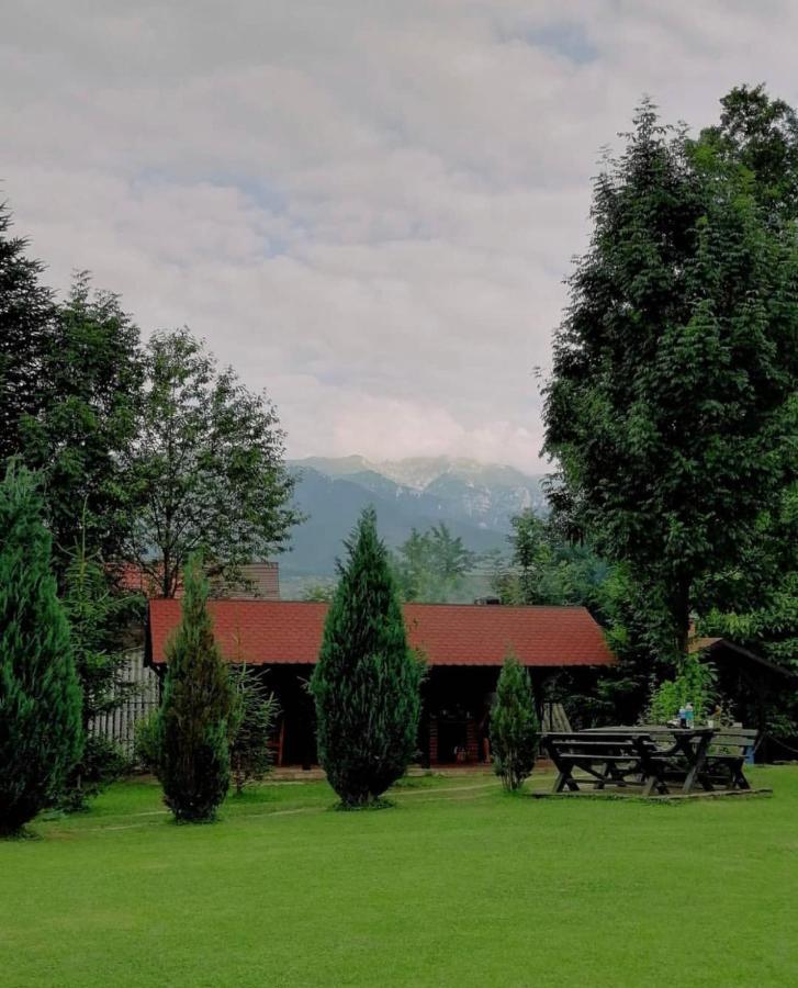 Hotel Garden Retreat Bran  Exterior foto