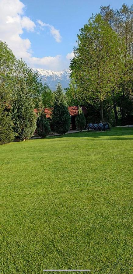 Hotel Garden Retreat Bran  Exterior foto